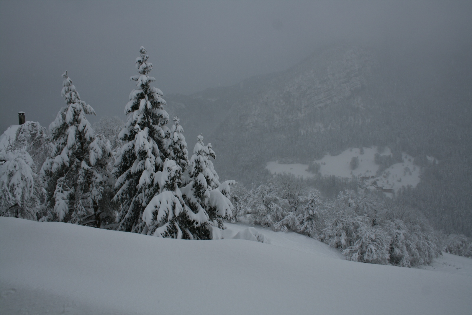 Fonds d'cran Nature Arbres - Forts Corbel Savoie