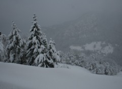 Fonds d'cran Nature Corbel Savoie