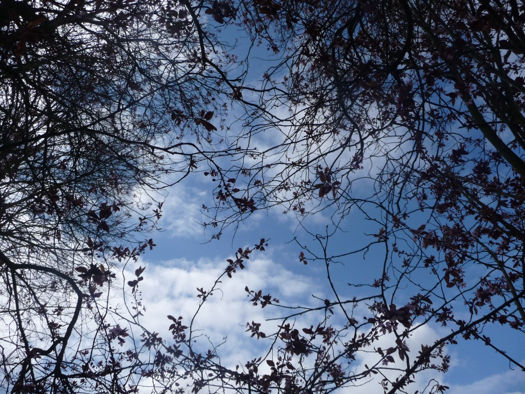 Wallpapers Nature Skies - Clouds une clarcie aprs le giboul