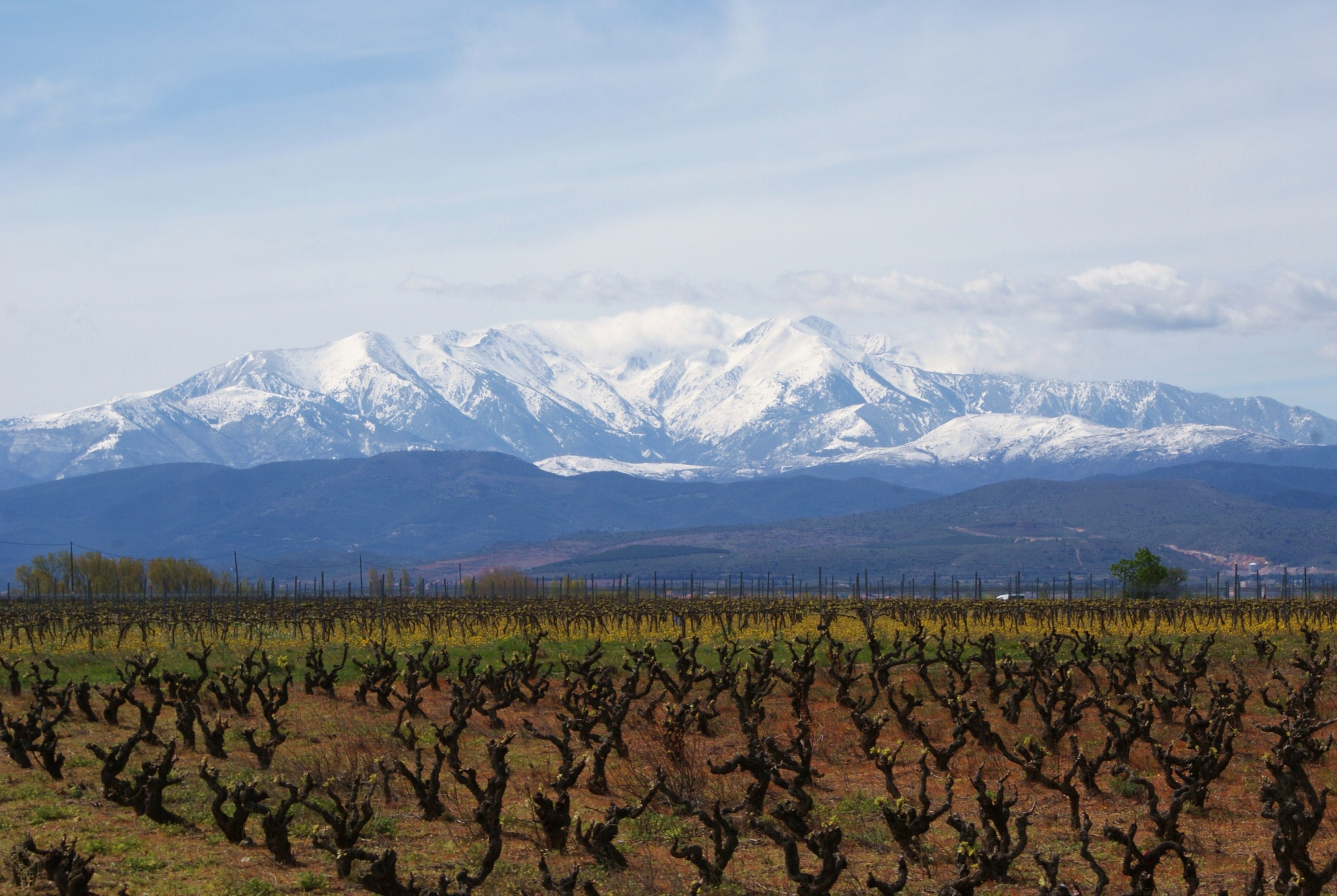 Fonds d'cran Nature Montagnes Canigou enneig