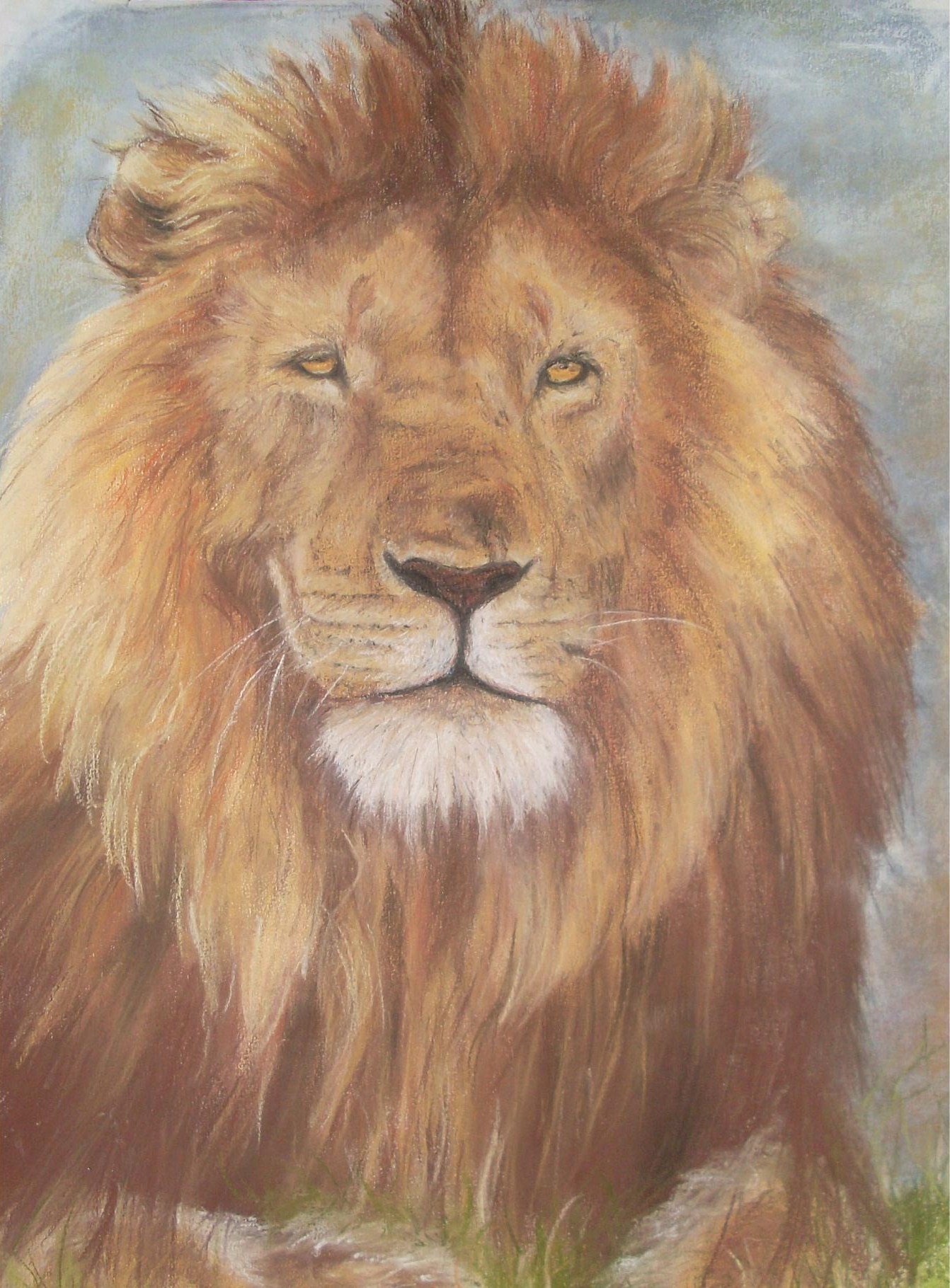 Fonds d'cran Art - Crayon Animaux - Lions lion