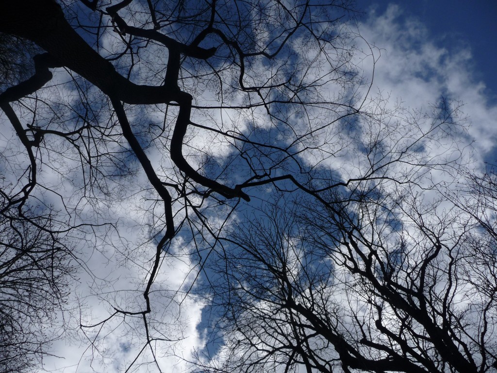 Fonds d'cran Nature Ciel - Nuages un magnifique troue