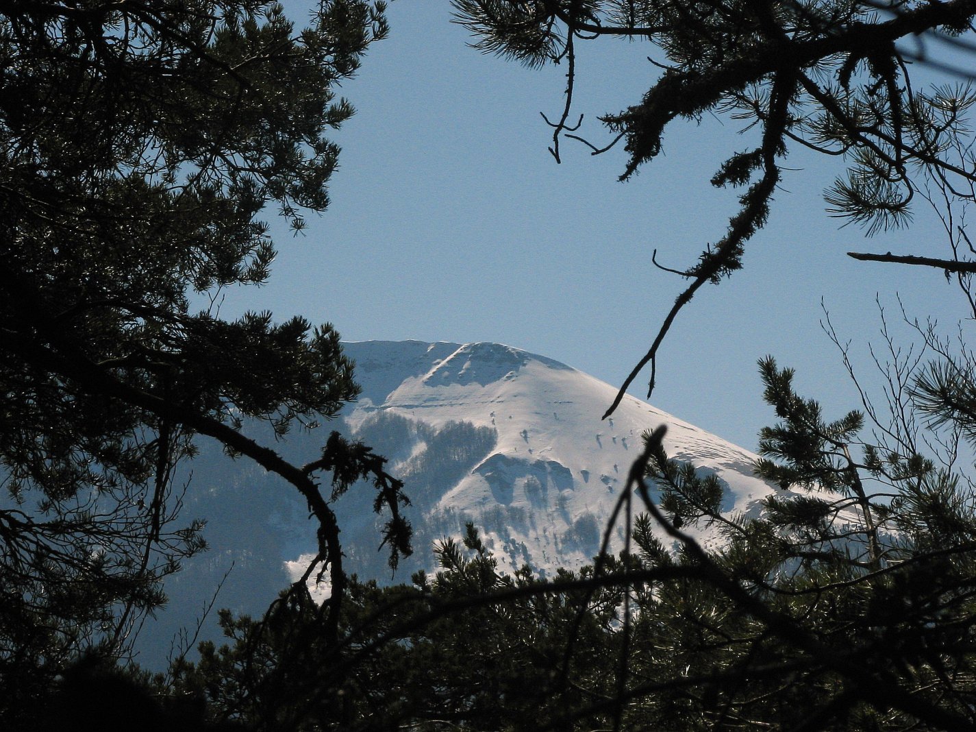 Wallpapers Nature Mountains Le Mt Angele ( Drome Provenale