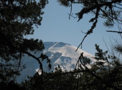 Fonds d'cran Nature Le Mt Angele ( Drome Provenale