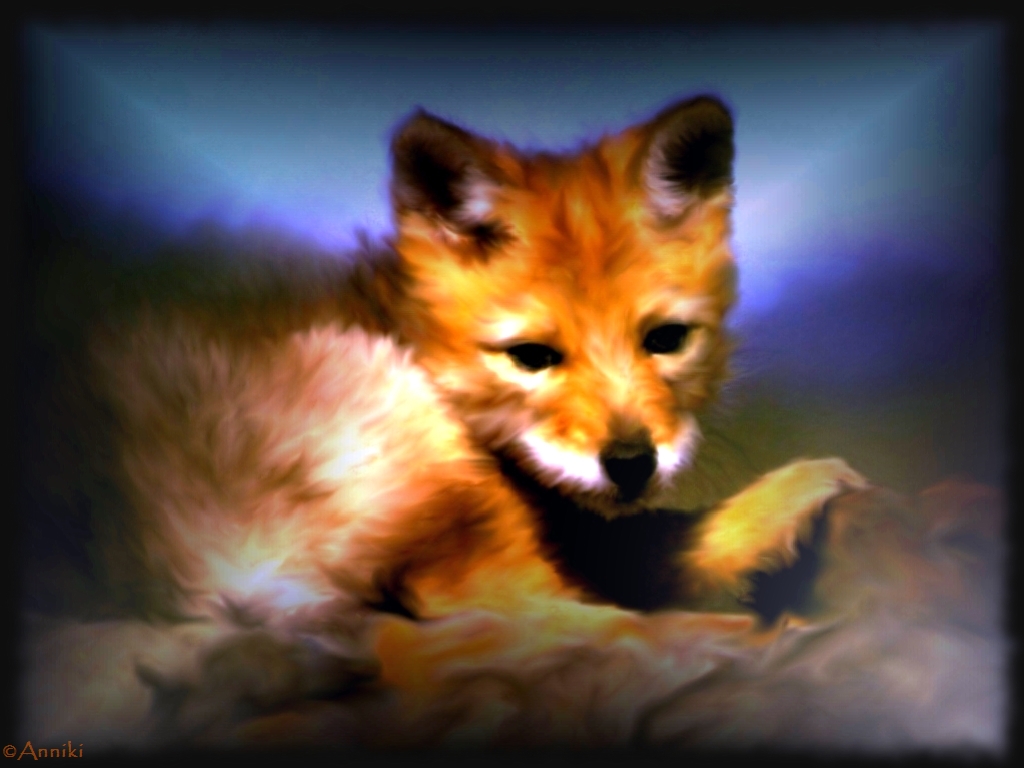 Fonds d'cran Art - Numrique Animaux bb renard