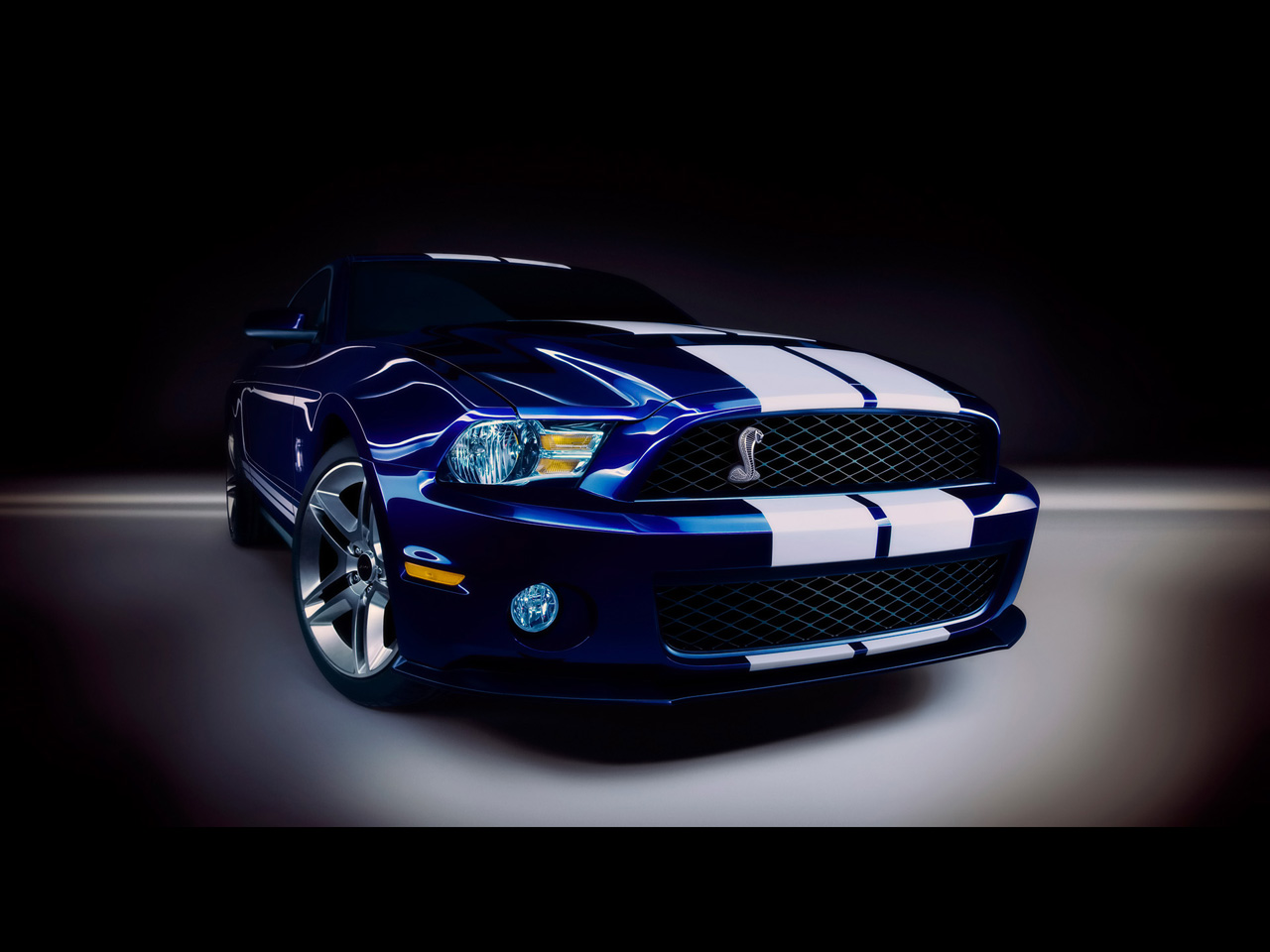 Wallpapers Cars Ford Ford-Shelby-GT500