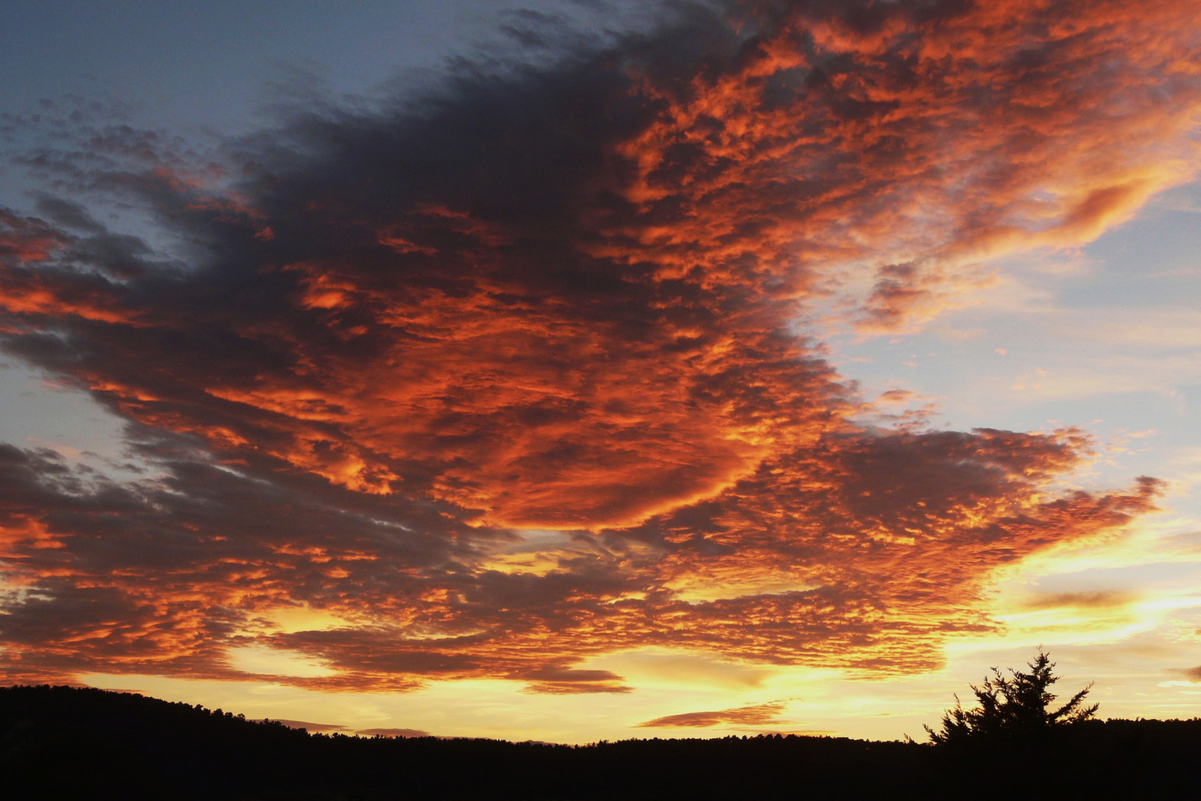 Wallpapers Nature Skies - Clouds Nuages clairs par le soleil couchant