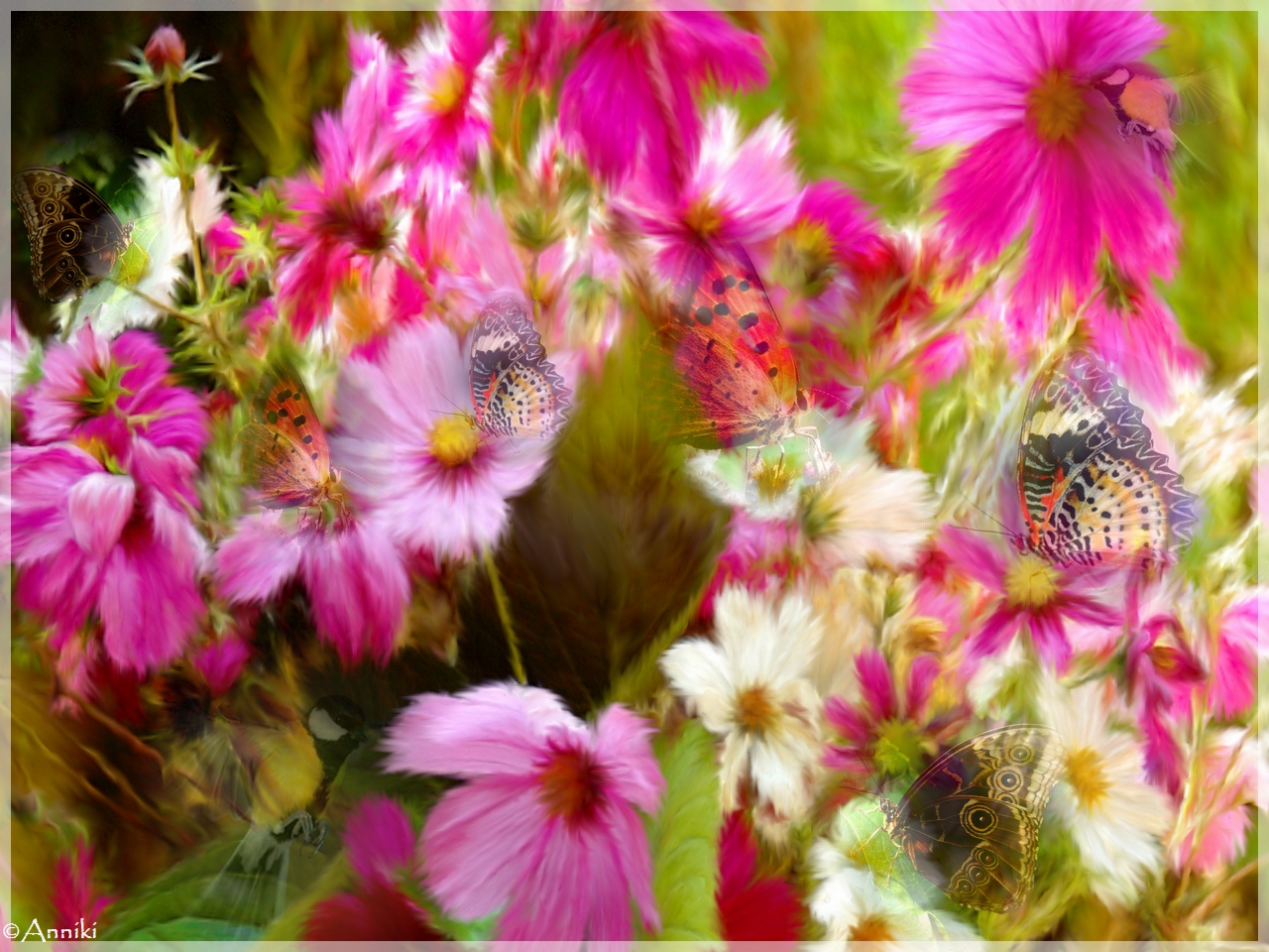 Wallpapers Digital Art Nature - Flowers 