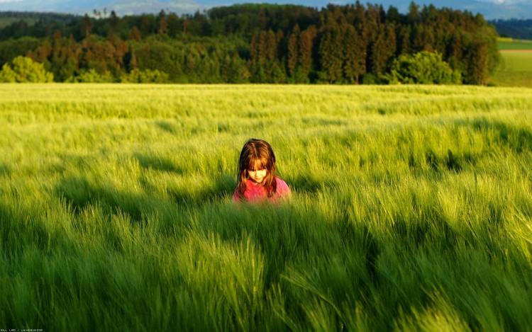 Fonds d'cran Hommes - Evnements Bbs - Enfants Ocan de verdure