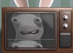 Wallpapers Video Games Lapins crtins TV Show