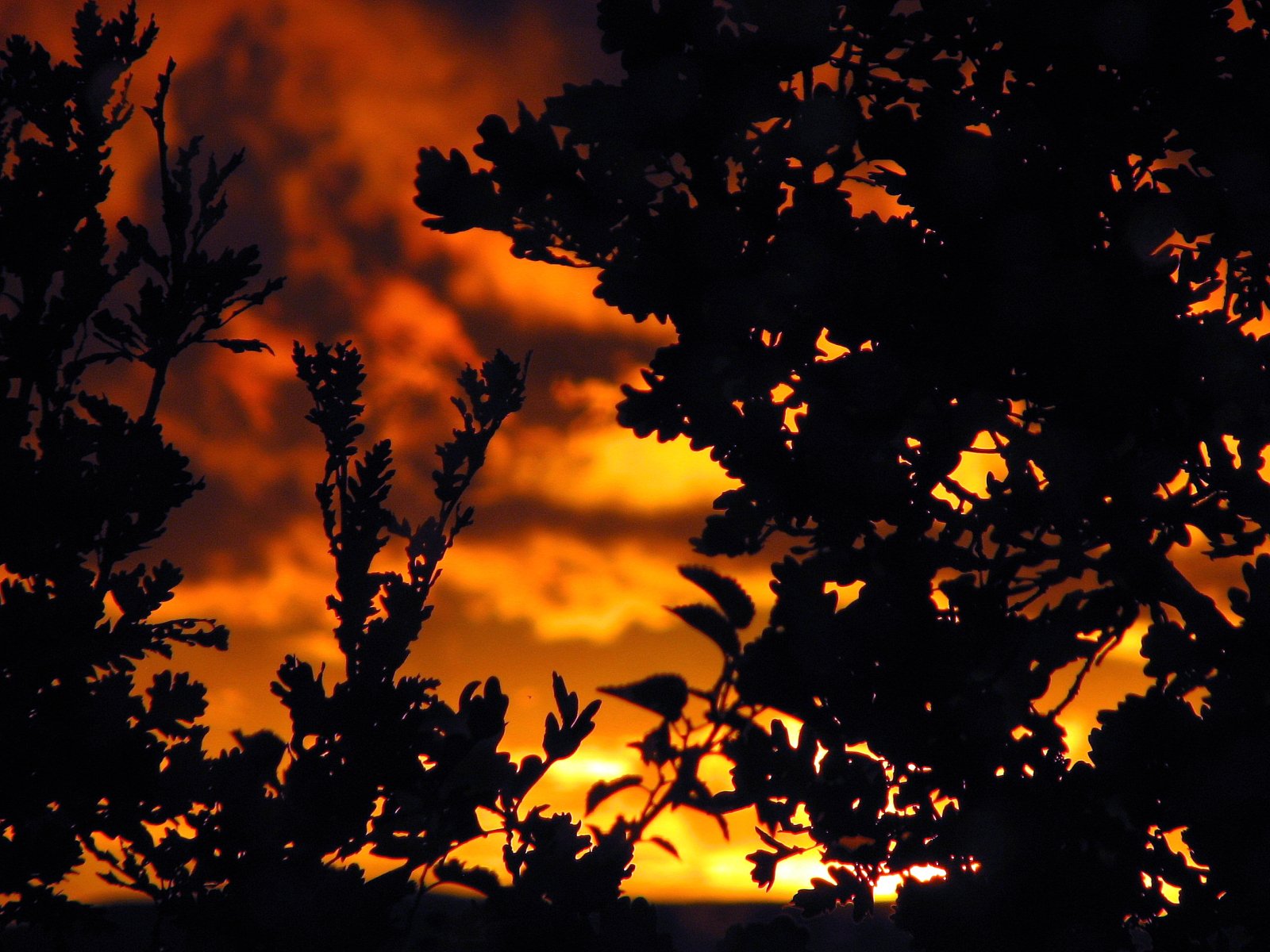 Fonds d'cran Nature Couchers et levers de Soleil Coucher de soleil sur les Mt d'Ardche