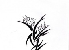 Wallpapers Art - Pencil tribal cocci