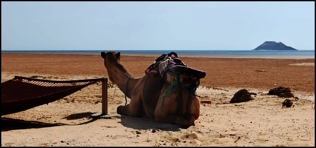 Fonds d'cran Voyages : Afrique Maroc 