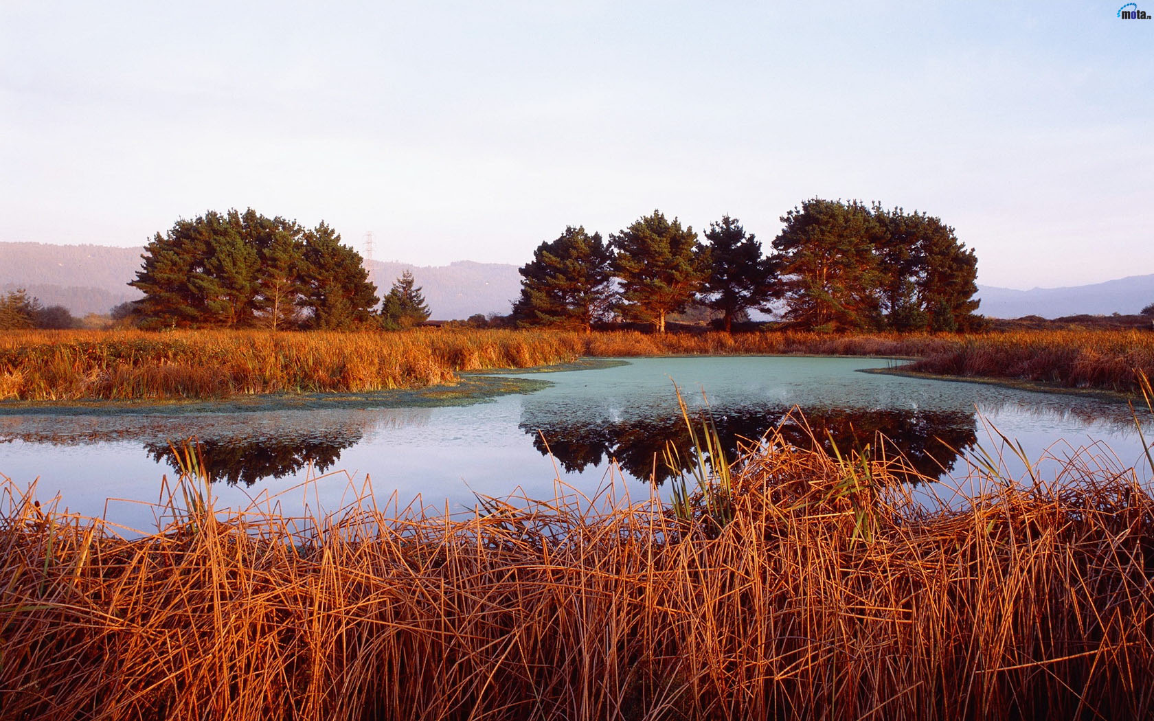 Wallpapers Nature Lakes - Ponds 