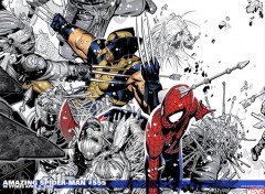 Fonds d'cran Comics et BDs spider man