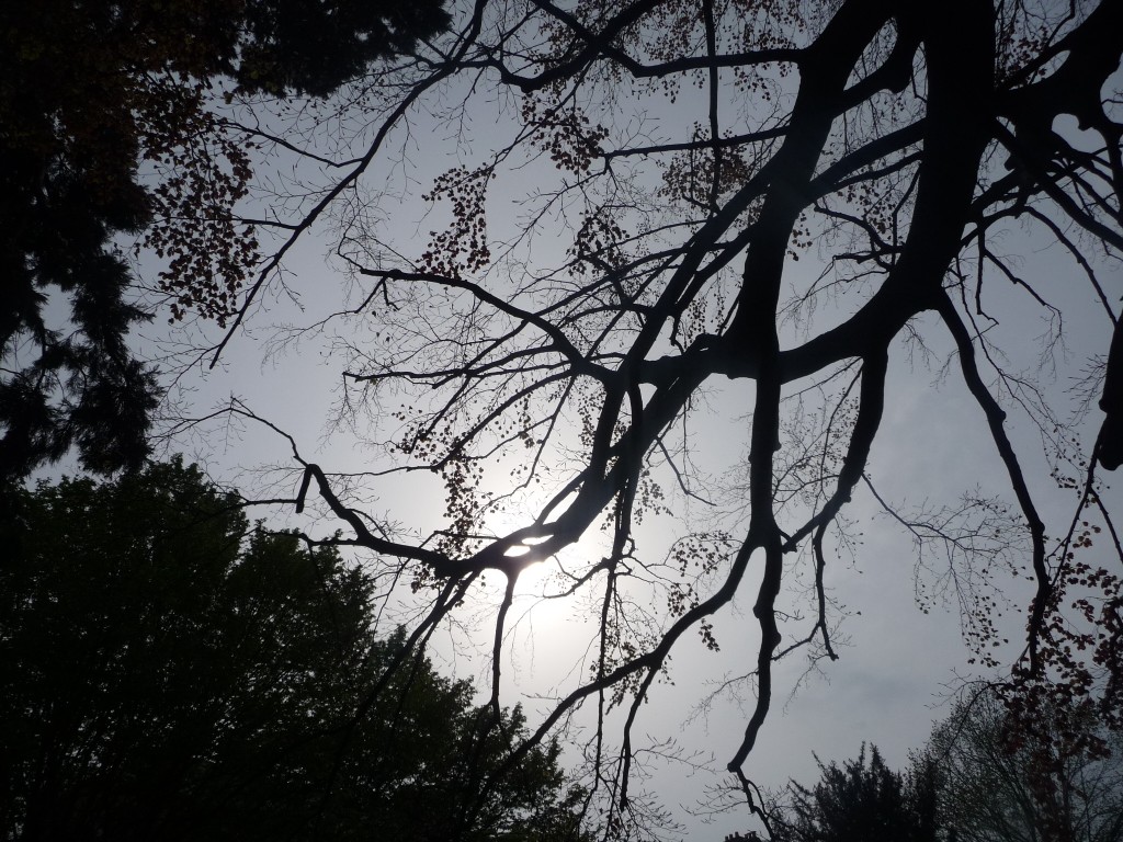 Fonds d'cran Nature Ciel - Nuages comme un orage