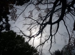 Fonds d'cran Nature comme un orage