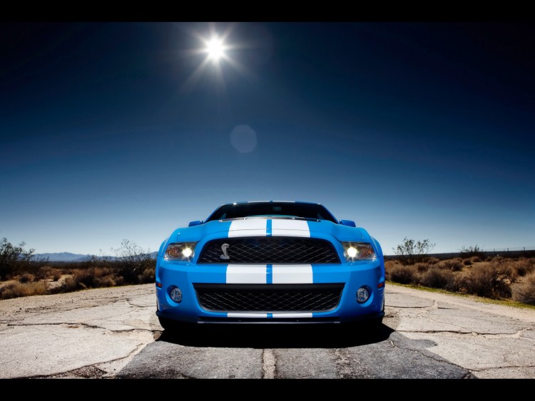 Wallpapers Cars Ford Ford-Shelby-GT500