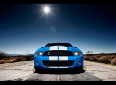 Wallpapers Cars Ford-Shelby-GT500