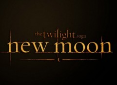 Fonds d'cran Cinma New moon