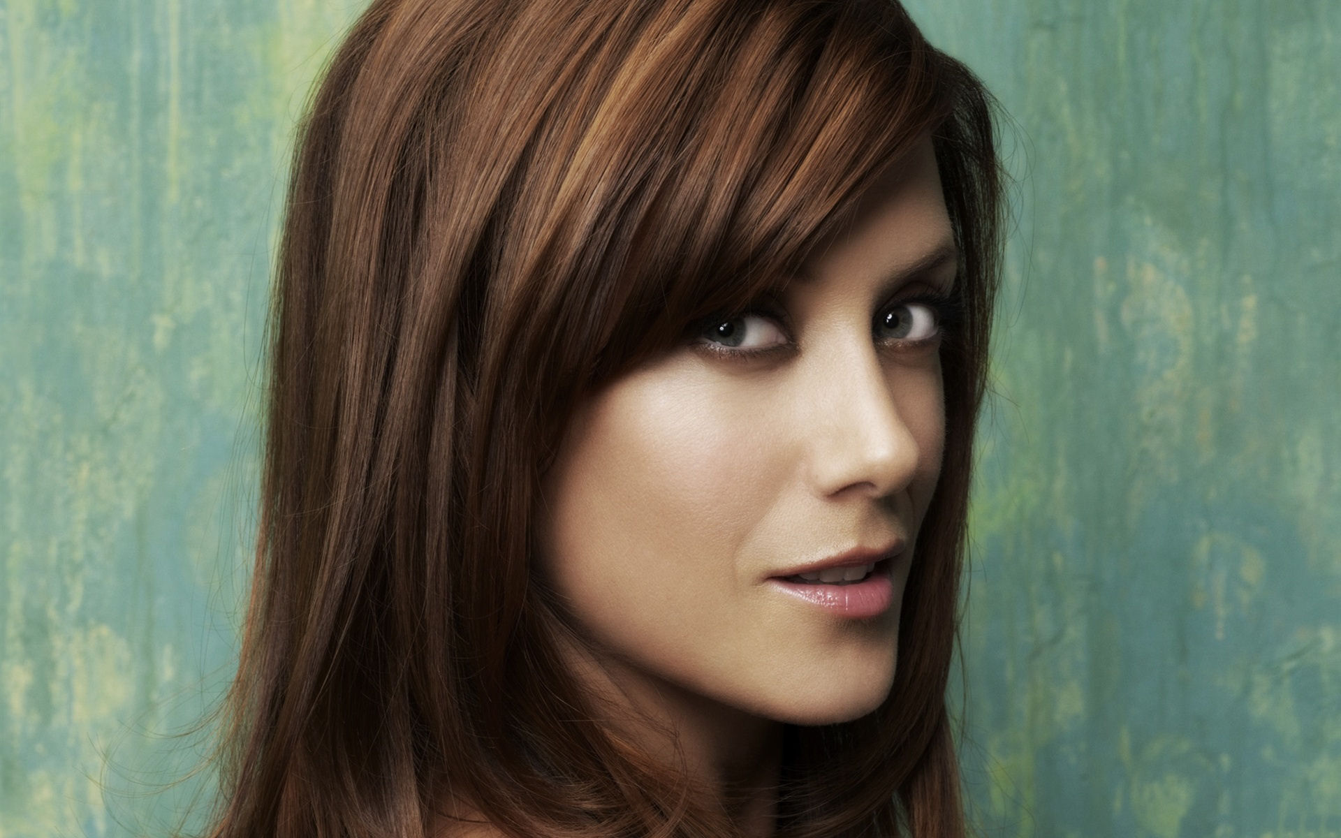 Fonds d'cran Clbrits Femme Kate Walsh 