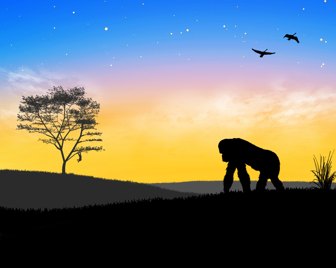 Wallpapers Digital Art Animals Monkey Savane