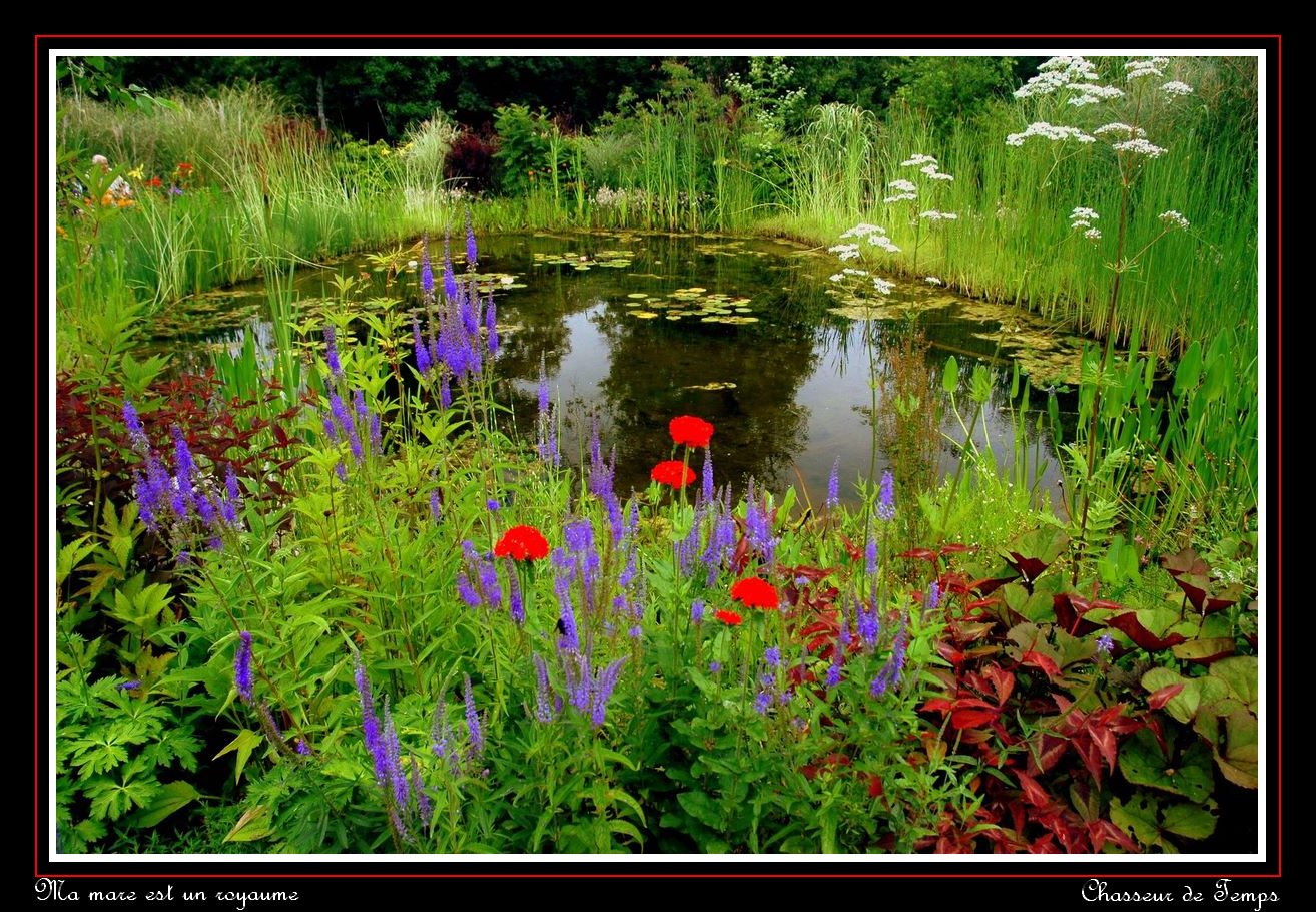 Wallpapers Nature Lakes - Ponds Ma mare est un royaume