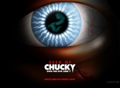 Fonds d'cran Cinma le fils de chucky