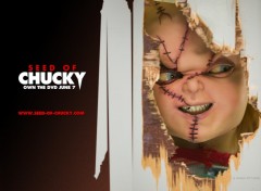 Wallpapers Movies le fils de chucky