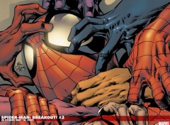 Fonds d'cran Comics et BDs spider man