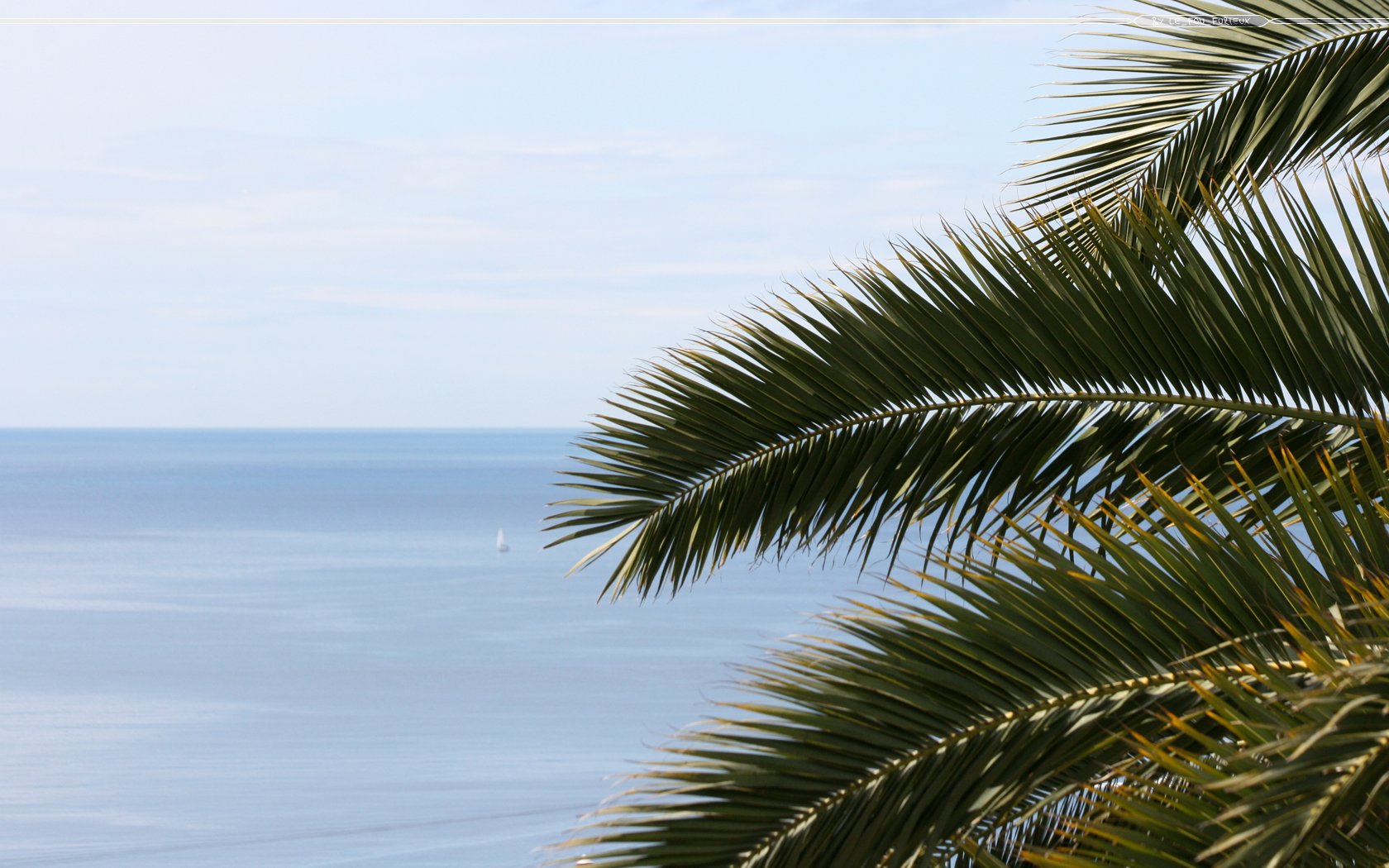 Fonds d'cran Nature Mers - Ocans - Plages Le soleil, la mer, les palmiers...