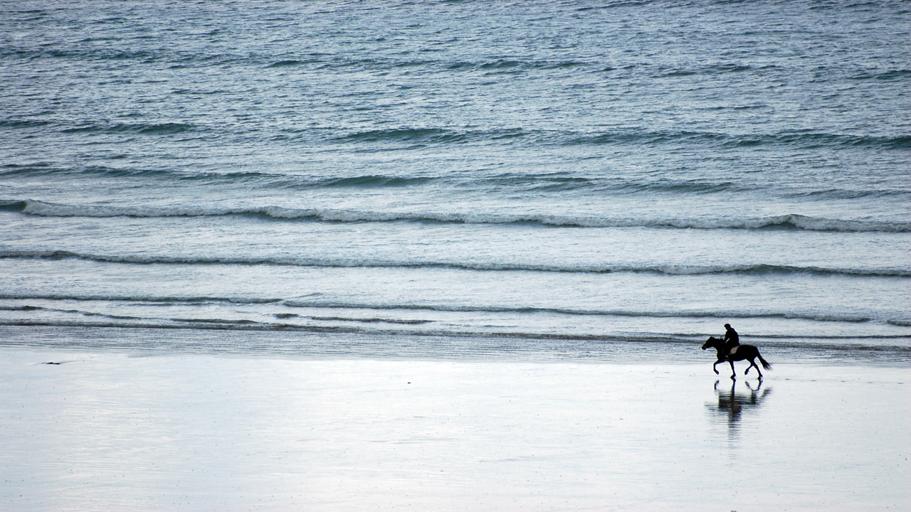 Fonds d'cran Animaux Chevaux Plage au galop