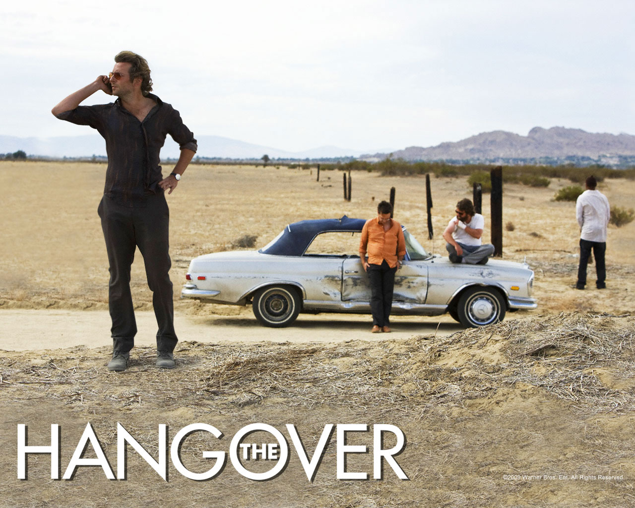 Wallpapers Movies The Hangover 