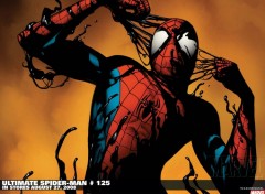 Fonds d'cran Comics et BDs spider man