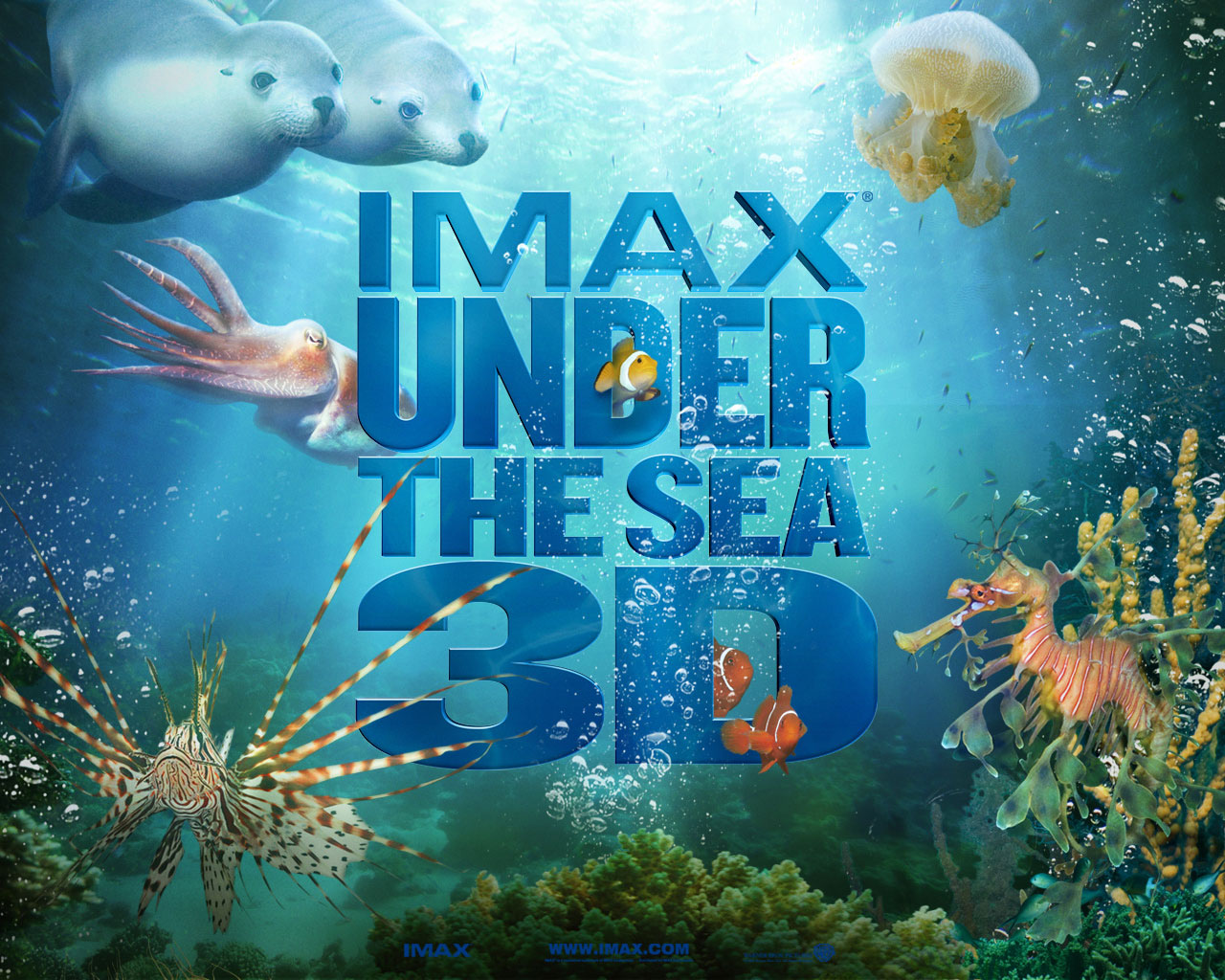 Wallpapers Movies Under the Sea 3D 