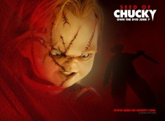 Wallpapers Movies le fils de chucky