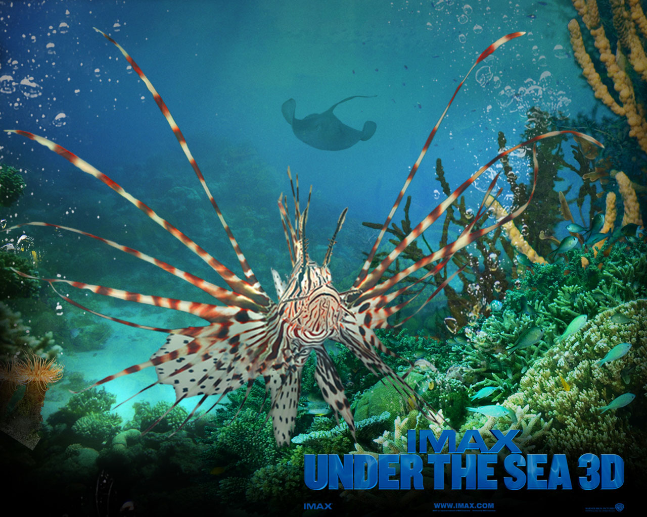 Wallpapers Movies Under the Sea 3D 