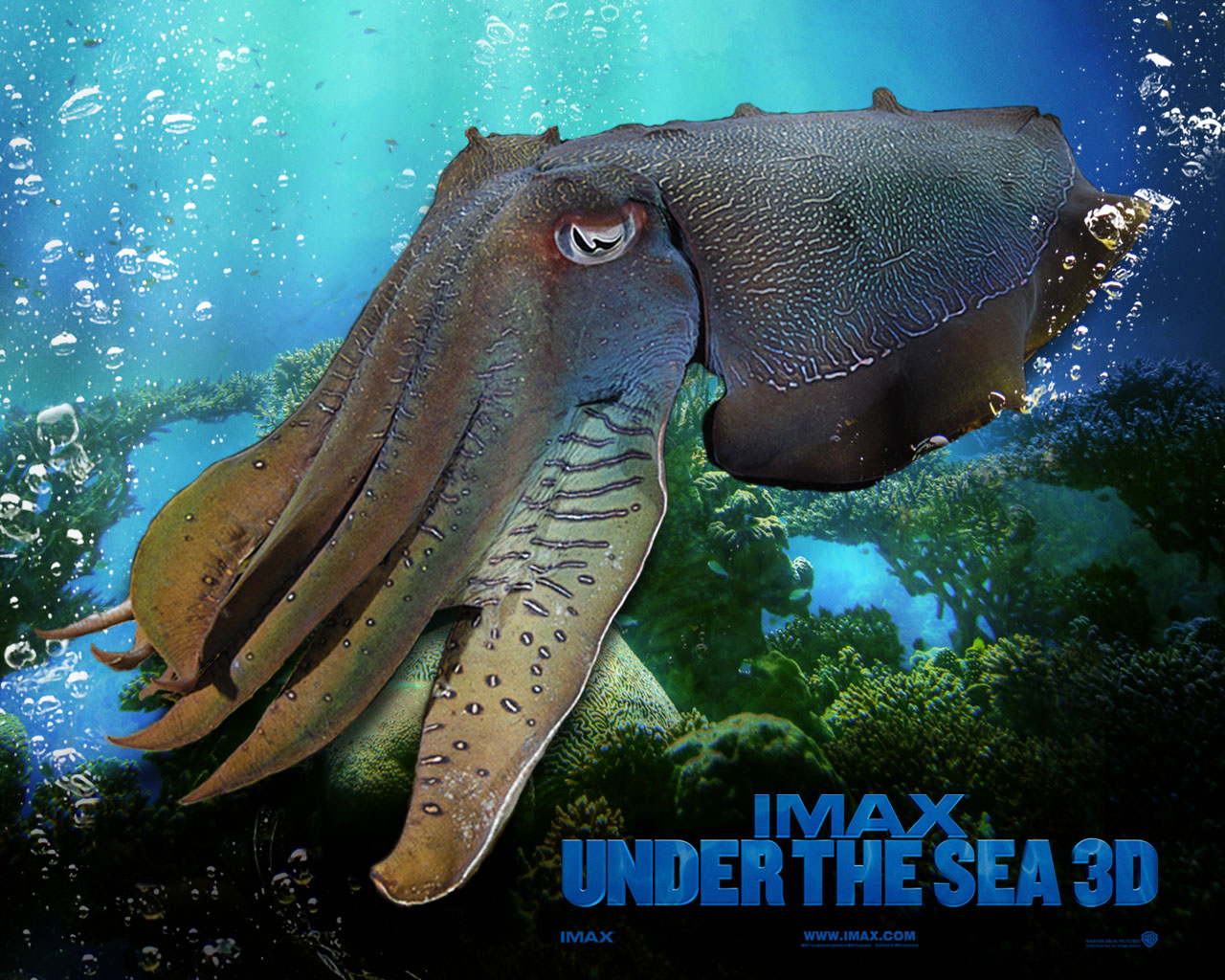 Fonds d'cran Cinma Under the Sea 3D 