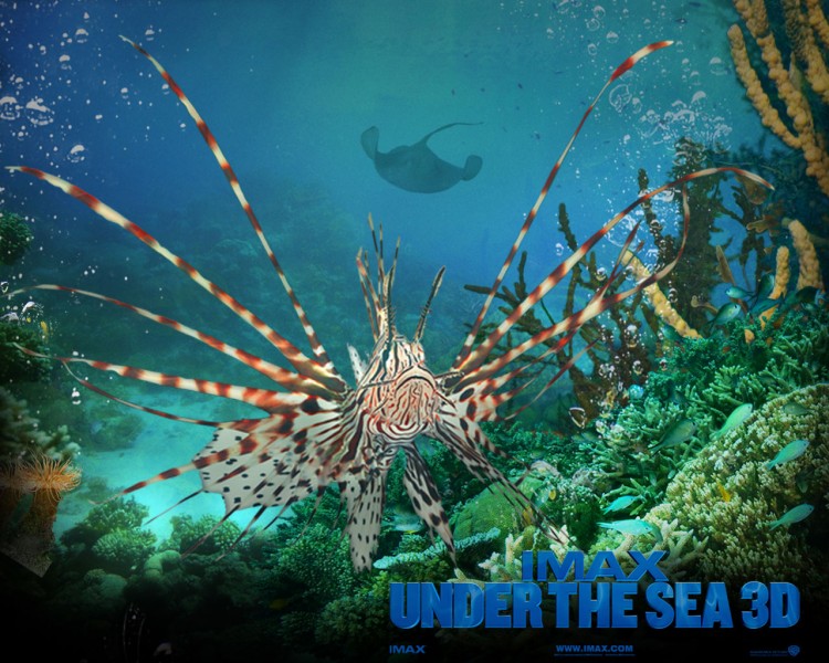 Wallpapers Movies Under the Sea 3D Wallpaper N231784