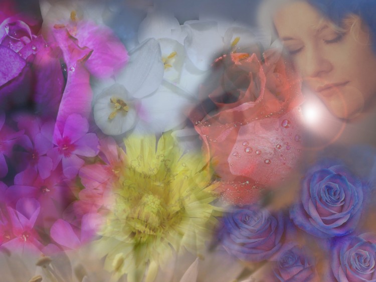 Wallpapers Digital Art Dreams FLEURS