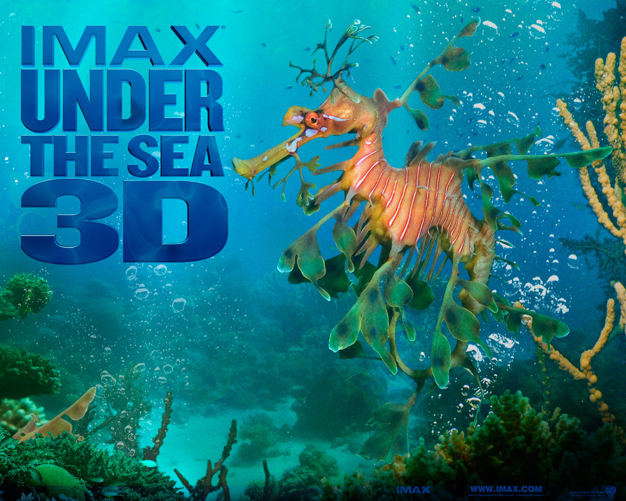 Fonds d'cran Cinma Under the Sea 3D 