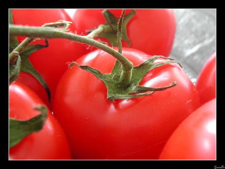 Wallpapers Nature Fruits Tomates