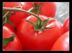 Wallpapers Nature Tomates