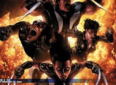 Wallpapers Comics x-force