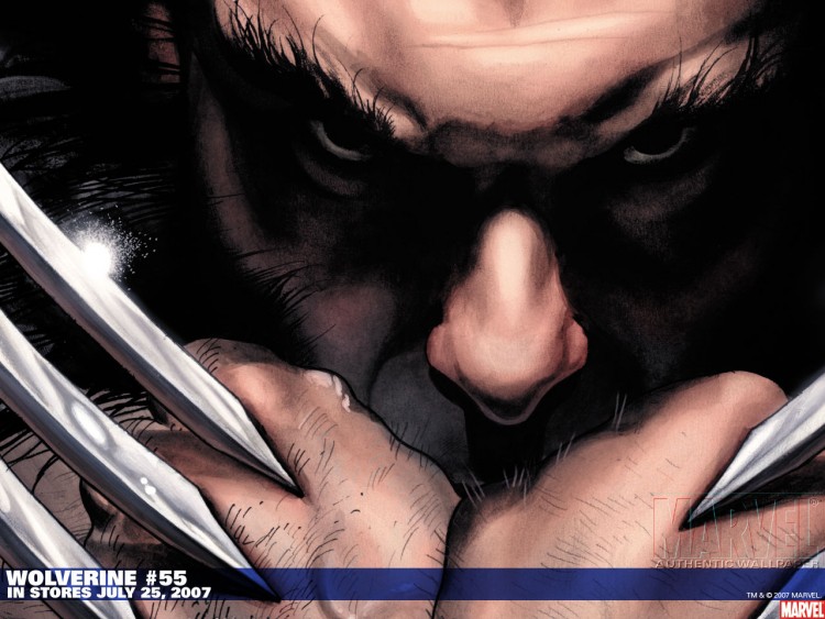 Fonds d'cran Comics et BDs Wolverine wolverine