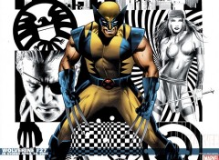 Fonds d'cran Comics et BDs wolverine