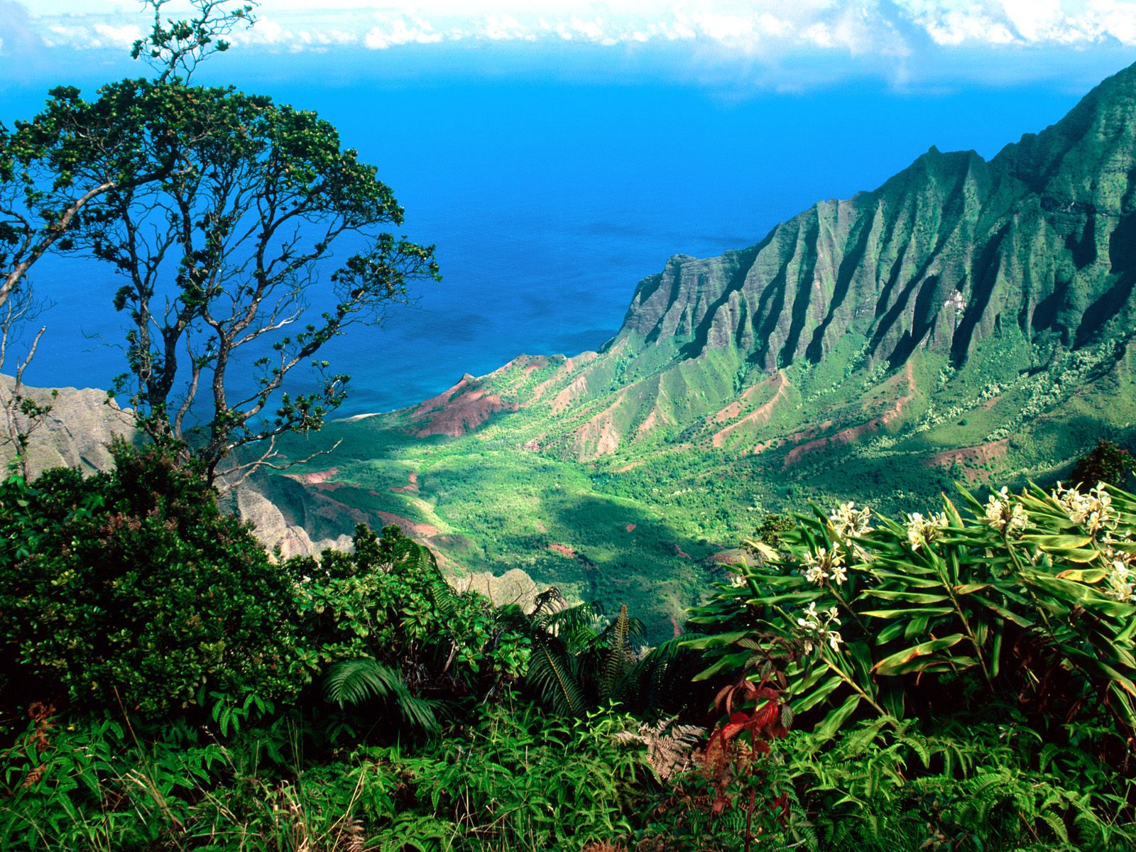 Fonds d'cran Voyages : Amrique du nord Etats-Unis > Hawa Kalalau valley