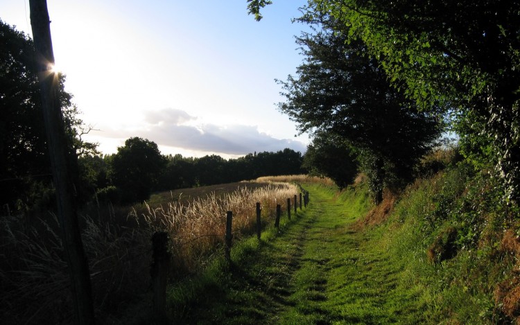 Fonds d'cran Nature Campagne Bizeul