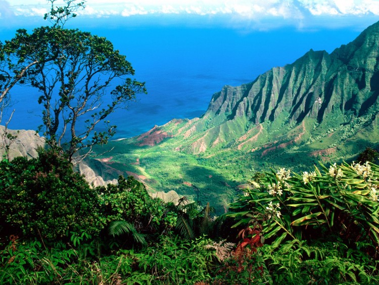 Wallpapers Trips : North America United-States > Hawa Kalalau valley