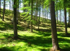 Fonds d'cran Nature Fort dans les Pyrnes 